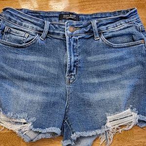 Judy Blue Jeans Shorts